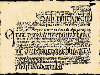 Irish Manuscripts: The Senchus Mór